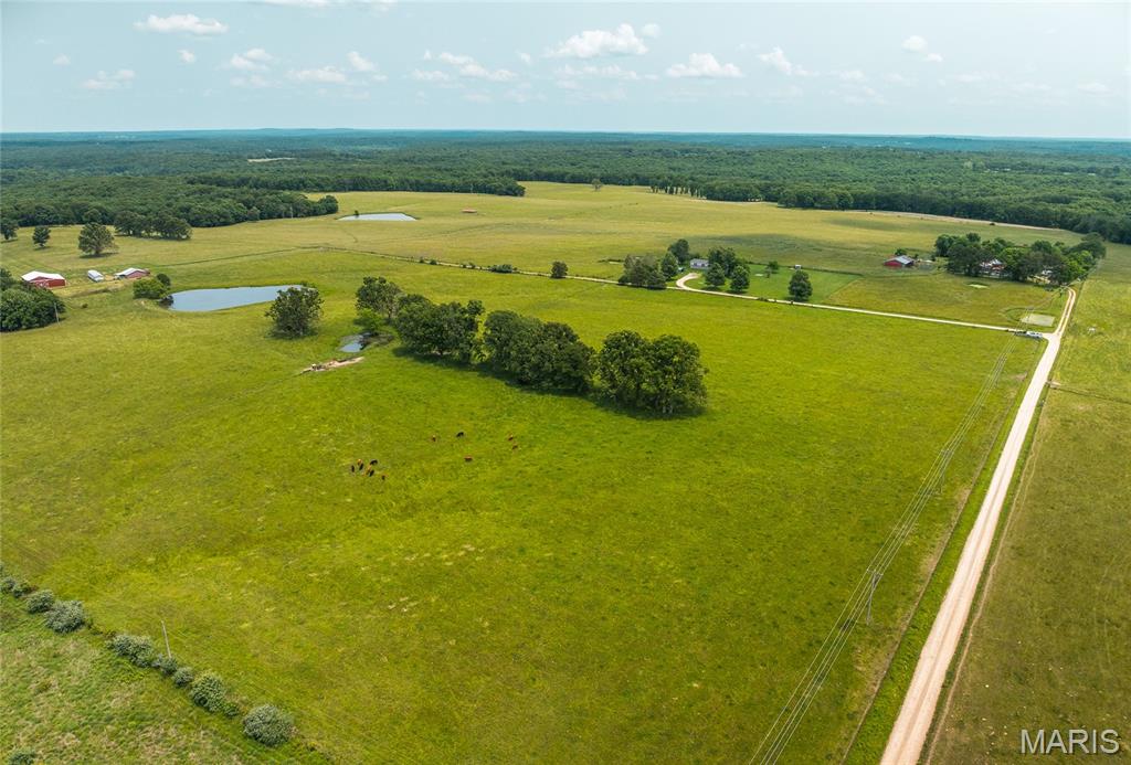 Photo 9 - Land for sale – TBD  Private Drive 3215 (Tract #2)   Rolla, MO