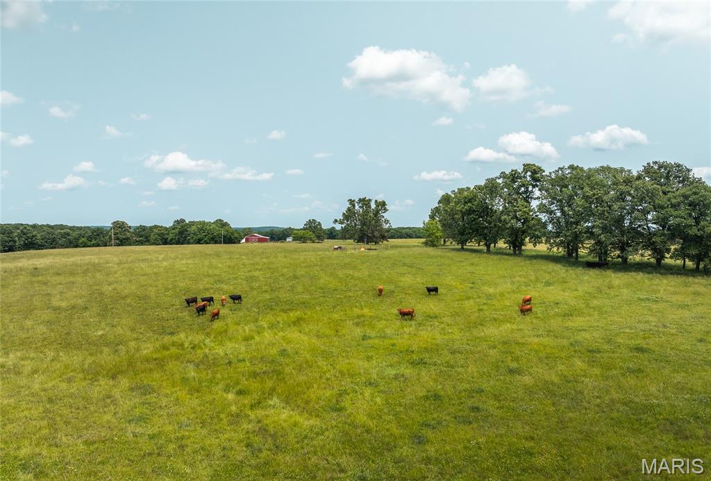 Photo 11 - Land for sale – TBD  Private Drive 3215 (Tract #2)   Rolla, MO