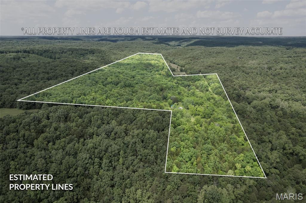 Photo 3 - Farm for sale – 23201  Private Drive 6474   Duke, MO