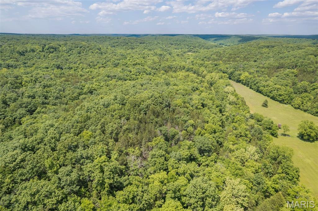 Photo 14 - Farm for sale – 23201  Private Drive 6474   Duke, MO