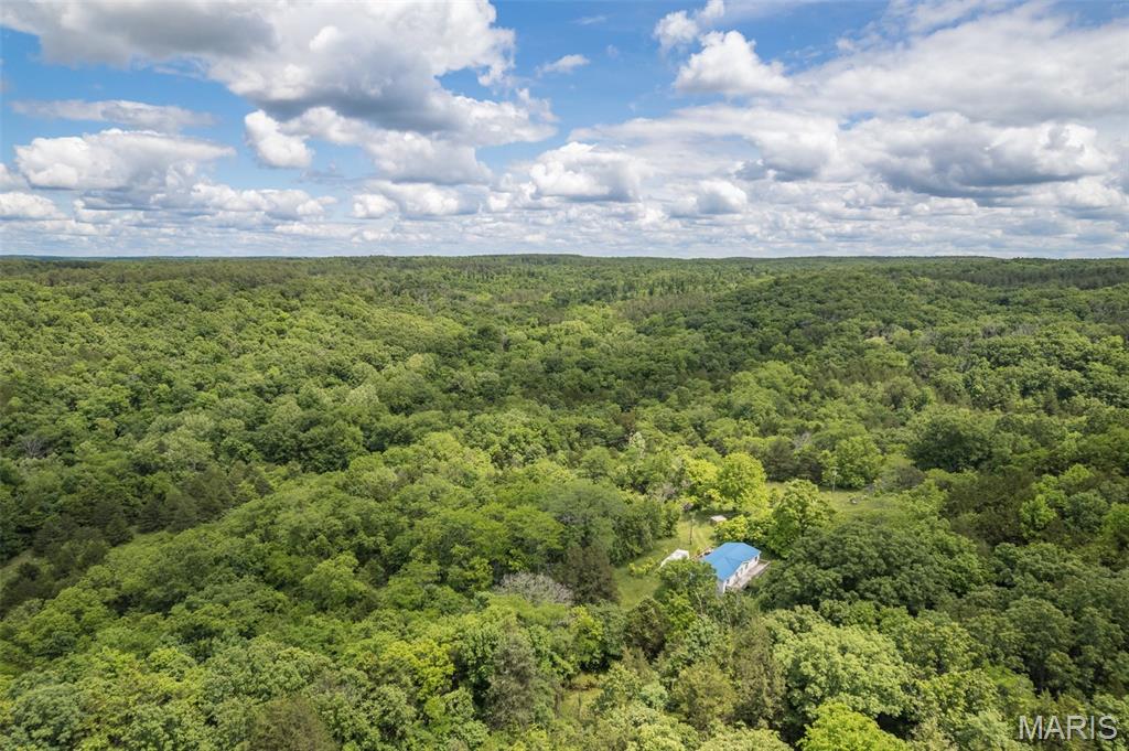 Photo 35 - Farm for sale – 23201  Private Drive 6474   Duke, MO
