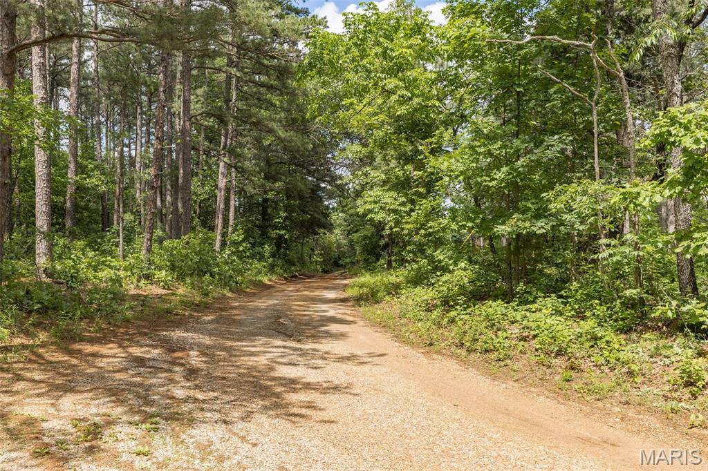 Photo 4 - Farm for sale – 23201  Private Drive 6474   Duke, MO