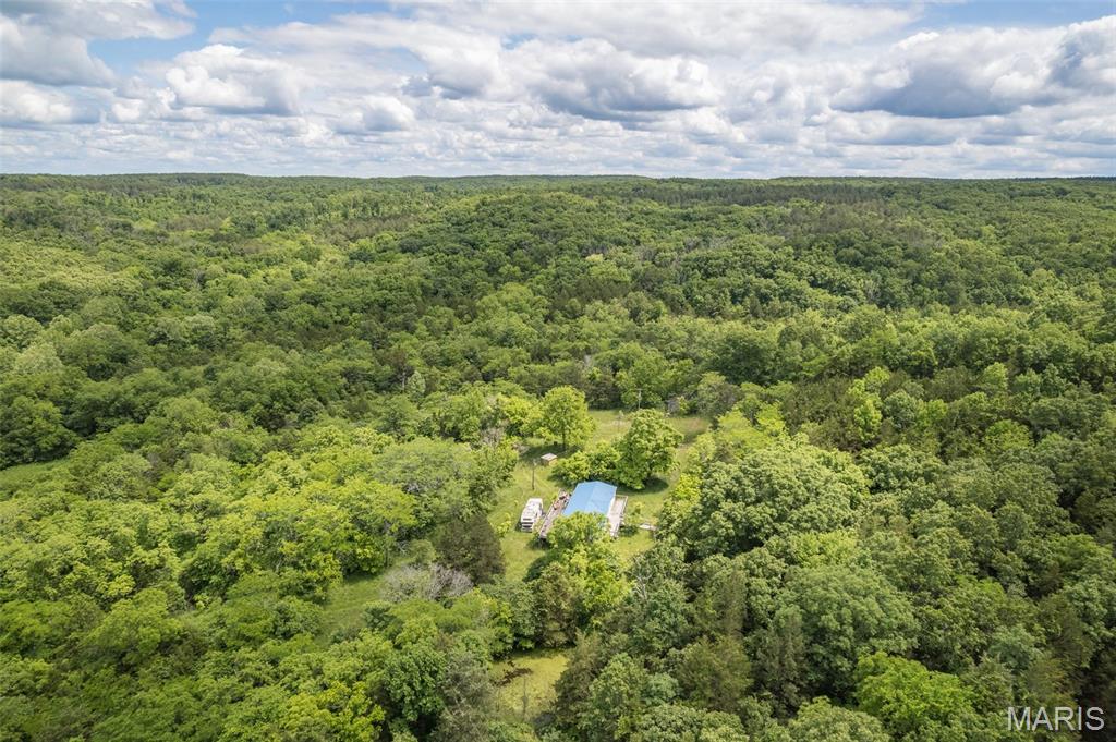 Photo 34 - Farm for sale – 23201  Private Drive 6474   Duke, MO