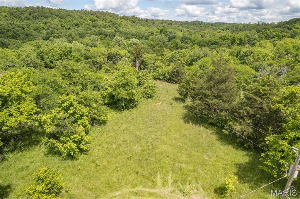 Photo 28 - Farm for sale – 23201  Private Drive 6474   Duke, MO
