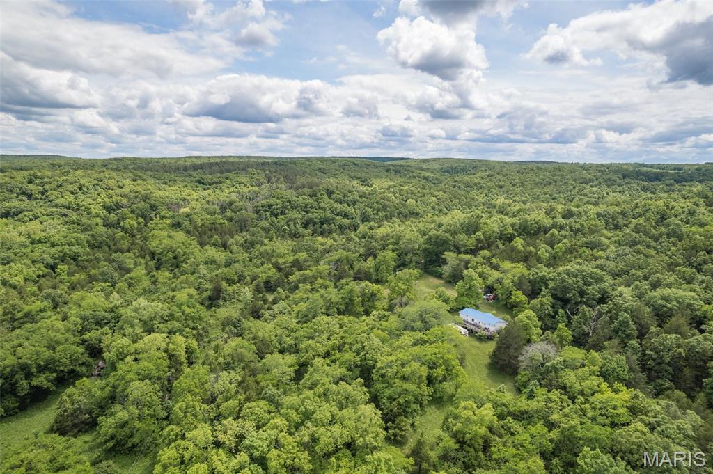 Photo 33 - Farm for sale – 23201  Private Drive 6474   Duke, MO