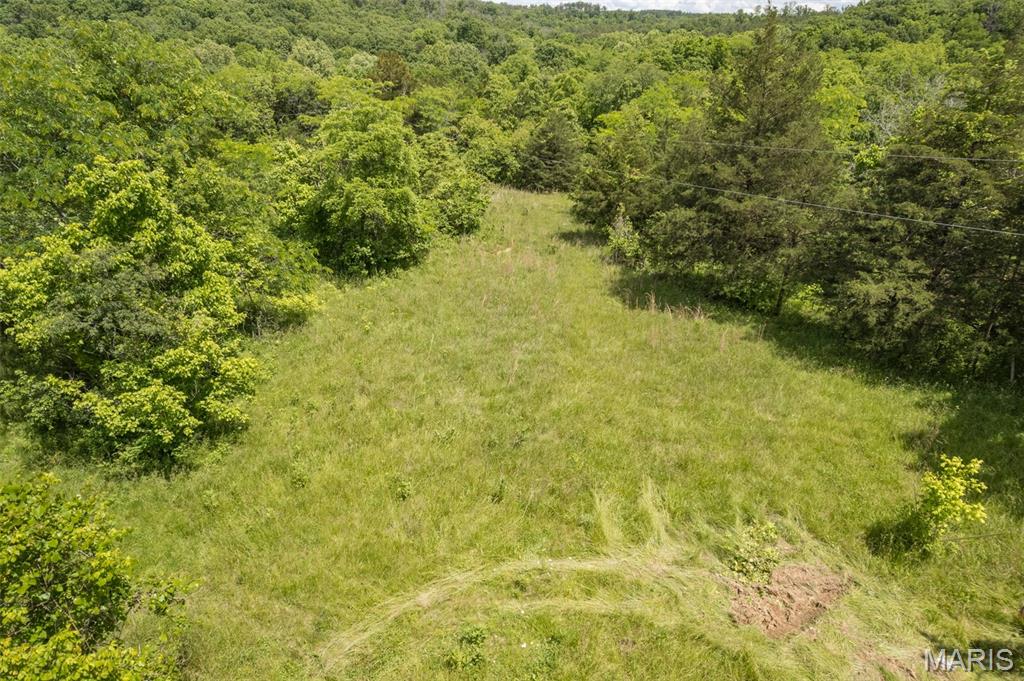 Photo 21 - Farm for sale – 23201  Private Drive 6474   Duke, MO