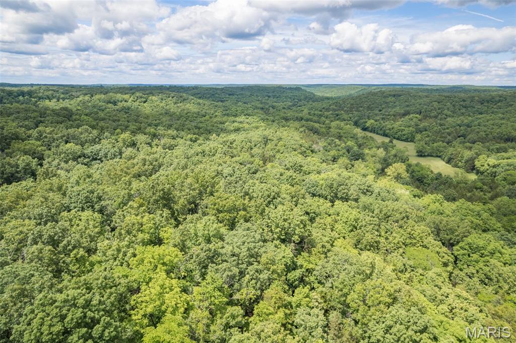 Photo 36 - Farm for sale – 23201  Private Drive 6474   Duke, MO
