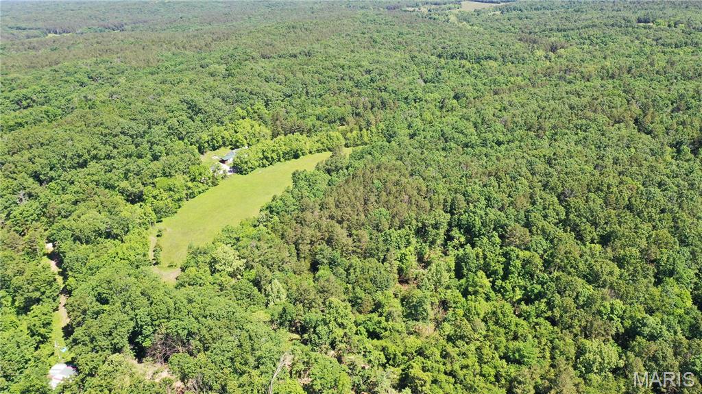 Photo 8 - Land for sale – 1394  (Parcel A) County Road 6580   Salem, MO