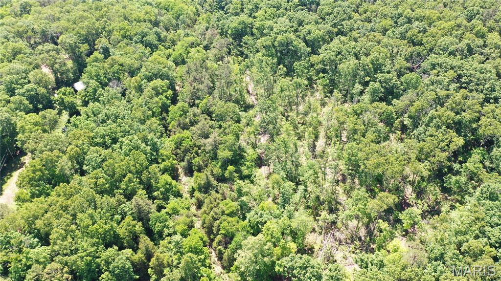 Photo 3 - Land for sale – 1394  (Parcel B) County Road 6580   Salem, MO