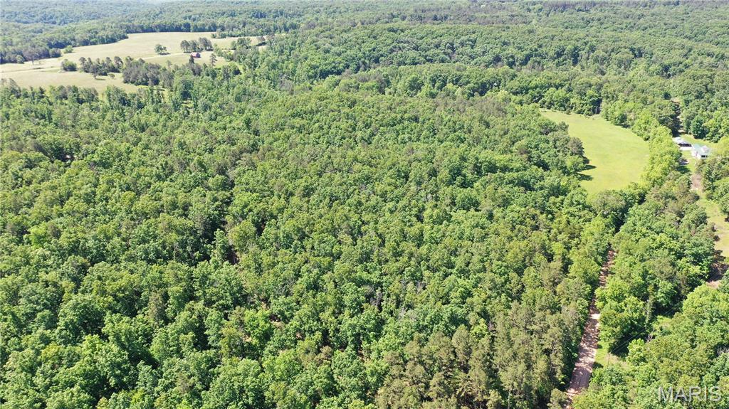 Photo 4 - Land for sale – 1394  (Parcel B) County Road 6580   Salem, MO