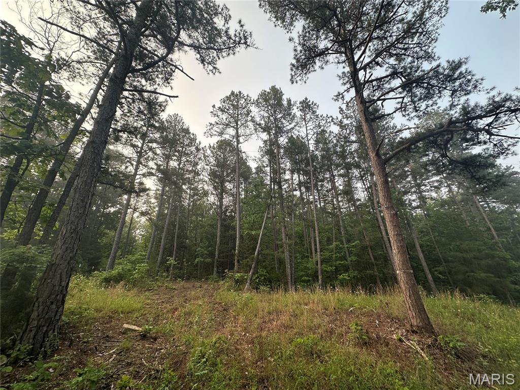 Photo 8 - Land for sale – 1394  (Parcel B) County Road 6580   Salem, MO