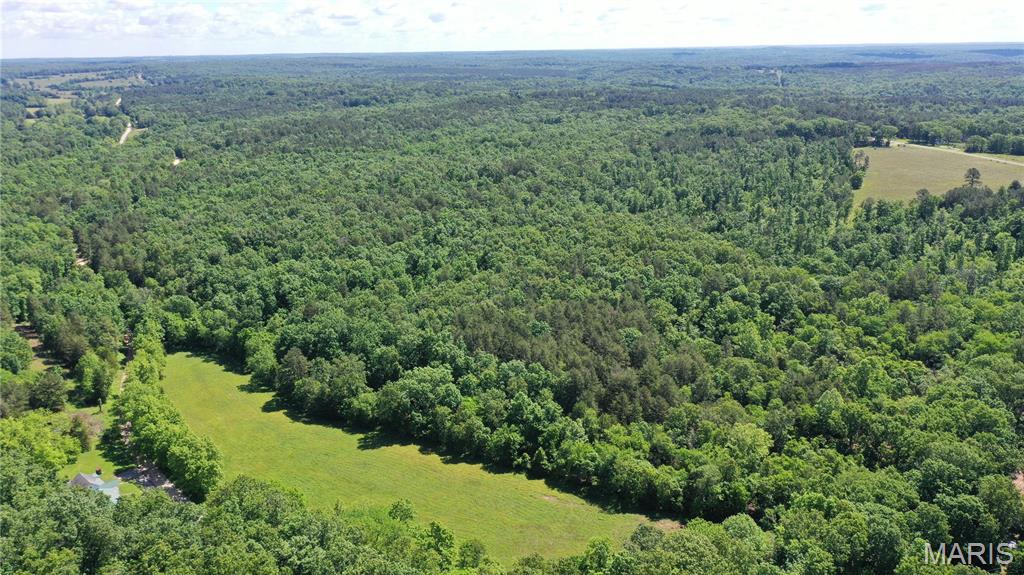 Photo 3 - Land for sale – 1394  (Parcel C) County Road 6580   Salem, MO