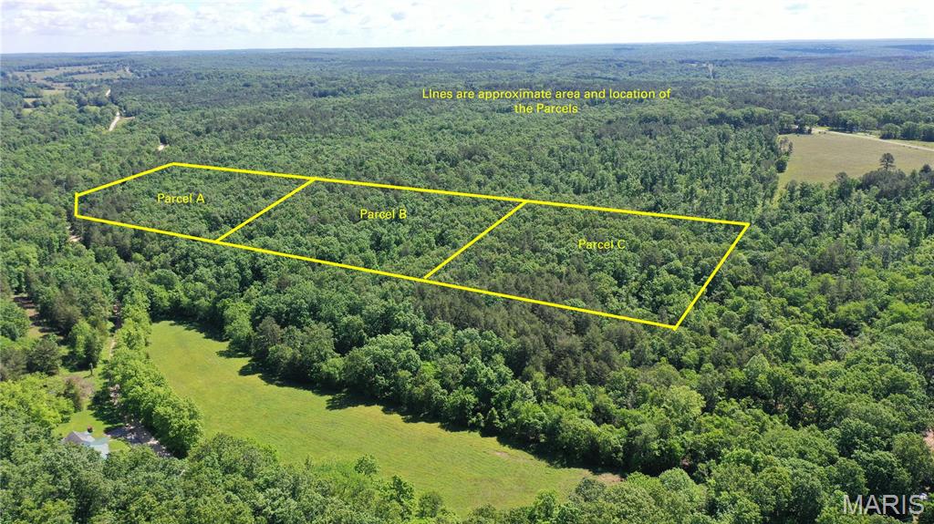 Photo 10 - Land for sale – 1394  (Parcel C) County Road 6580   Salem, MO
