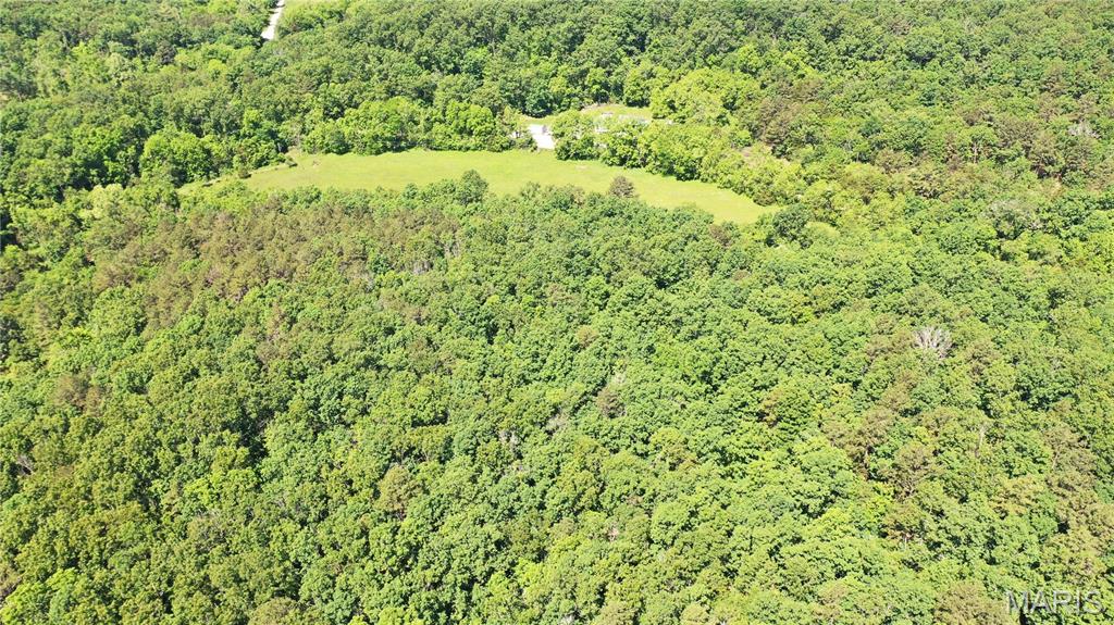 Photo 6 - Land for sale – 1394  (Parcel C) County Road 6580   Salem, MO