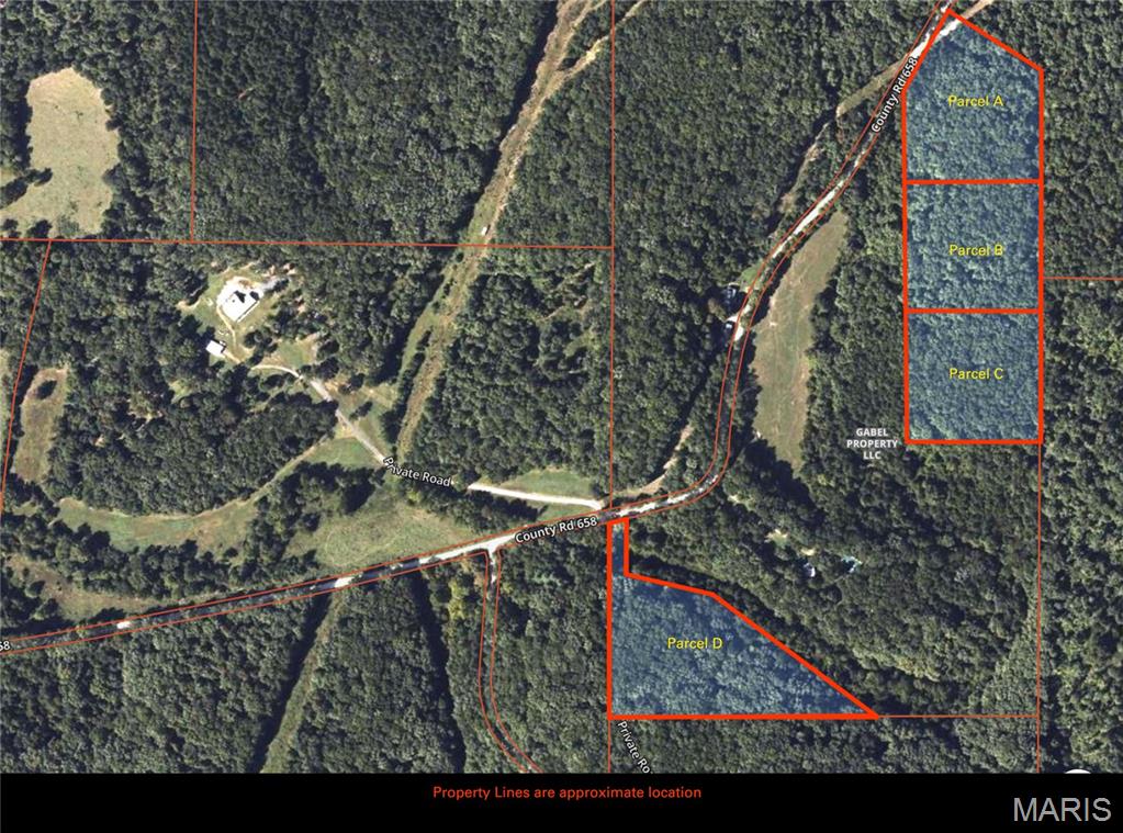 Photo 9 - Land for sale – 1394  (Parcel C) County Road 6580   Salem, MO