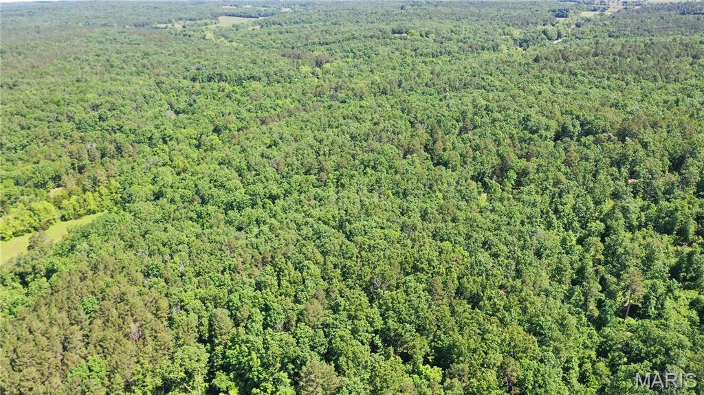 Photo 2 - Land for sale – 1394  (Parcel D) County Road 6580   Salem, MO