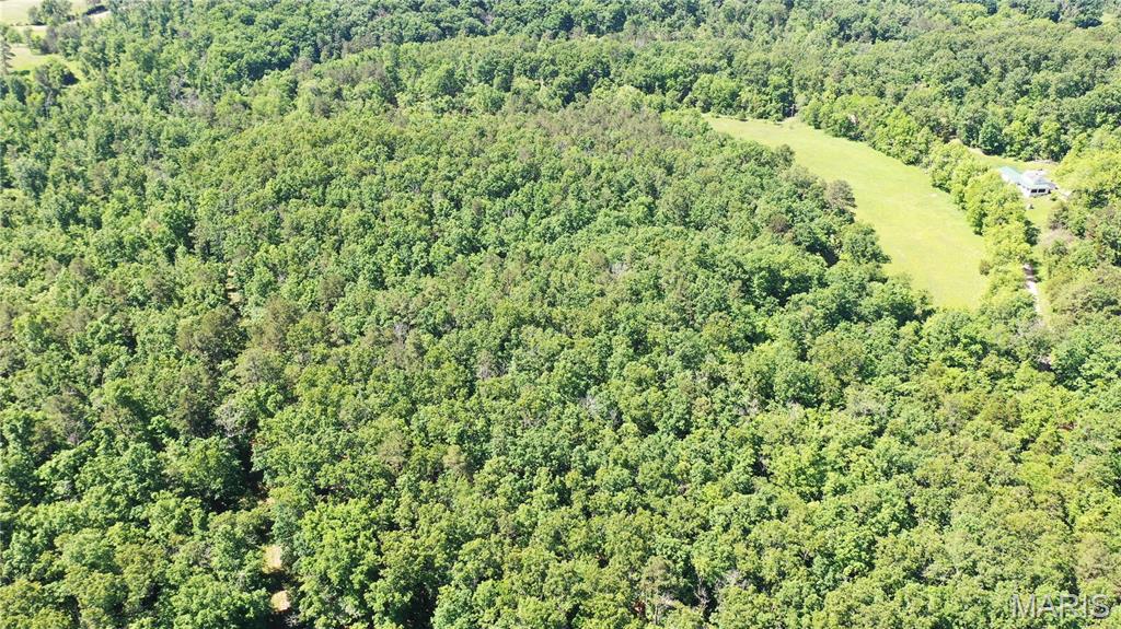 Photo 5 - Land for sale – 1394  (Parcel D) County Road 6580   Salem, MO