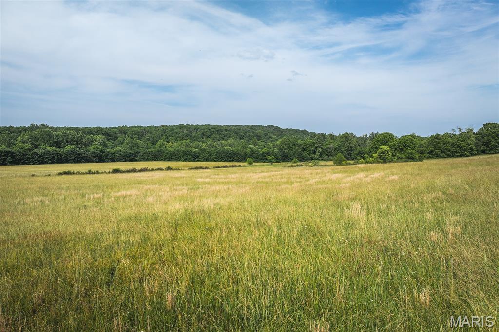 Photo 69 - Farm for sale – 3800  Cr-4080   Salem, MO