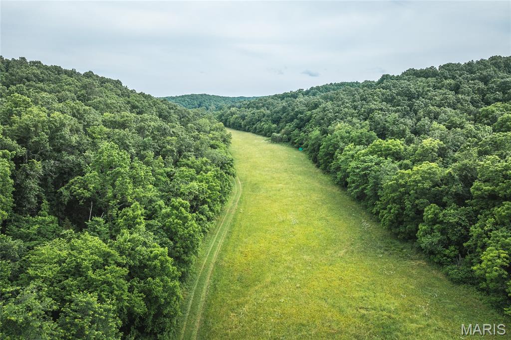 Photo 11 - Farm for sale – 3800  Cr-4080   Salem, MO