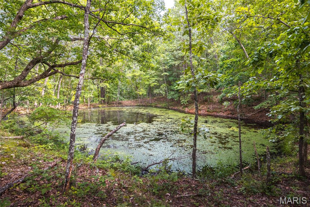 Photo 57 - Farm for sale – 3800  Cr-4080   Salem, MO