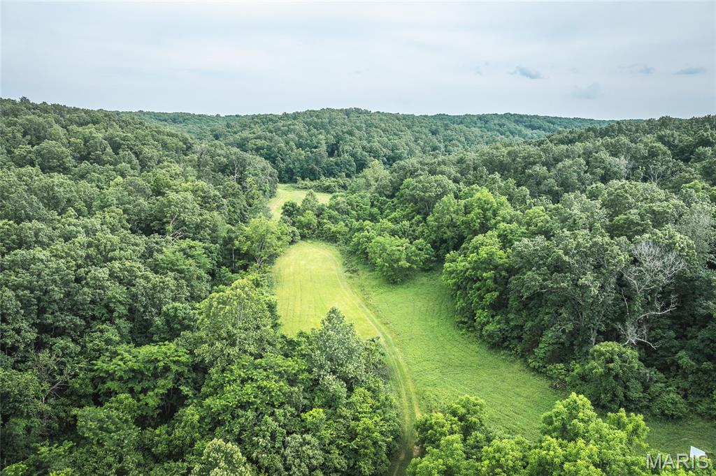 Photo 75 - Farm for sale – 3800  Cr-4080   Salem, MO