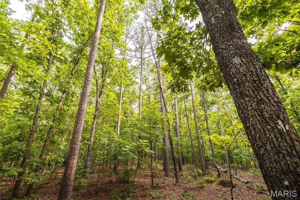Photo 80 - Farm for sale – 3800  Cr-4080   Salem, MO