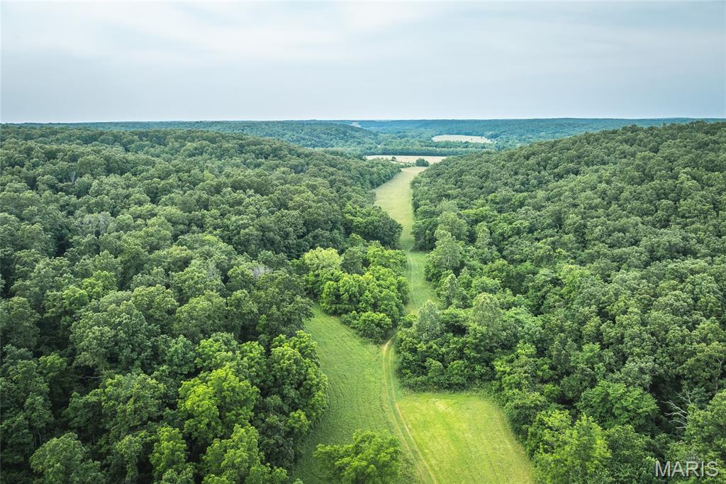 Photo 76 - Farm for sale – 3800  Cr-4080   Salem, MO
