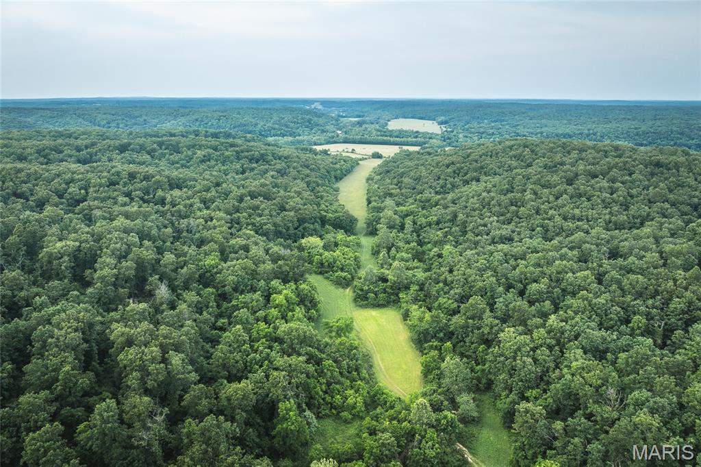 Photo 77 - Farm for sale – 3800  Cr-4080   Salem, MO