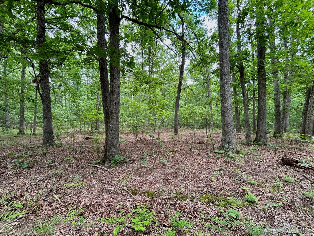 Photo 8 - Land for sale – 0  County Road 5500   Salem, MO