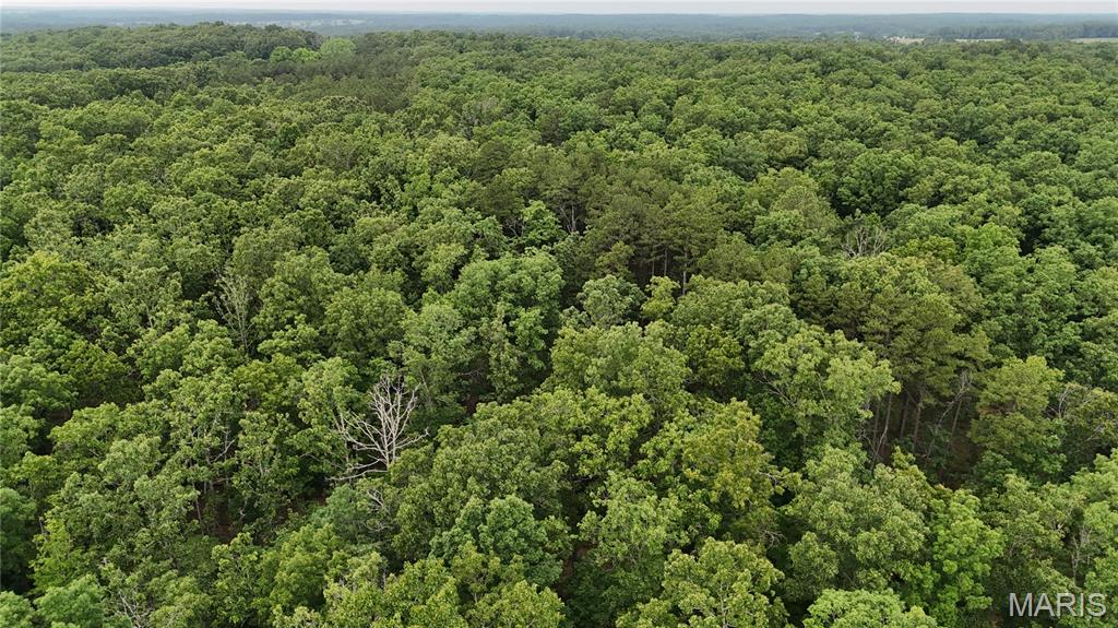 Photo 25 - Land for sale – 0  County Road 5500   Salem, MO
