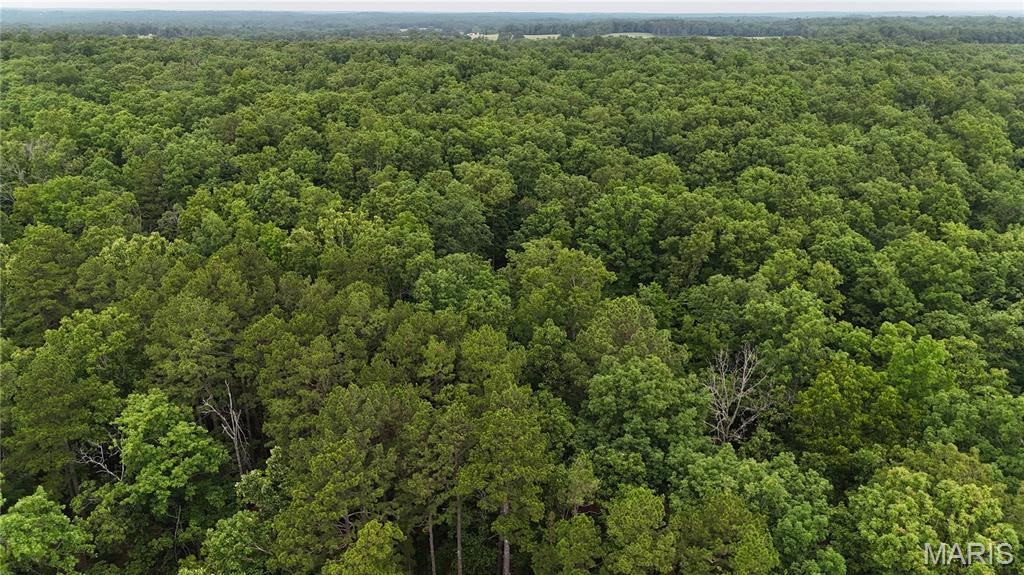 Photo 26 - Land for sale – 0  County Road 5500   Salem, MO