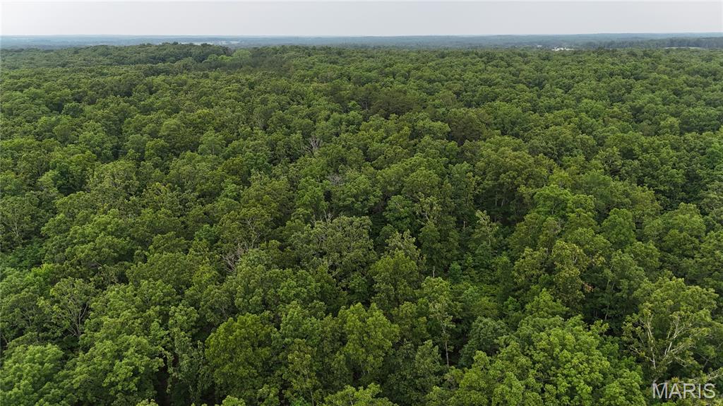 Photo 24 - Land for sale – 0  County Road 5500   Salem, MO