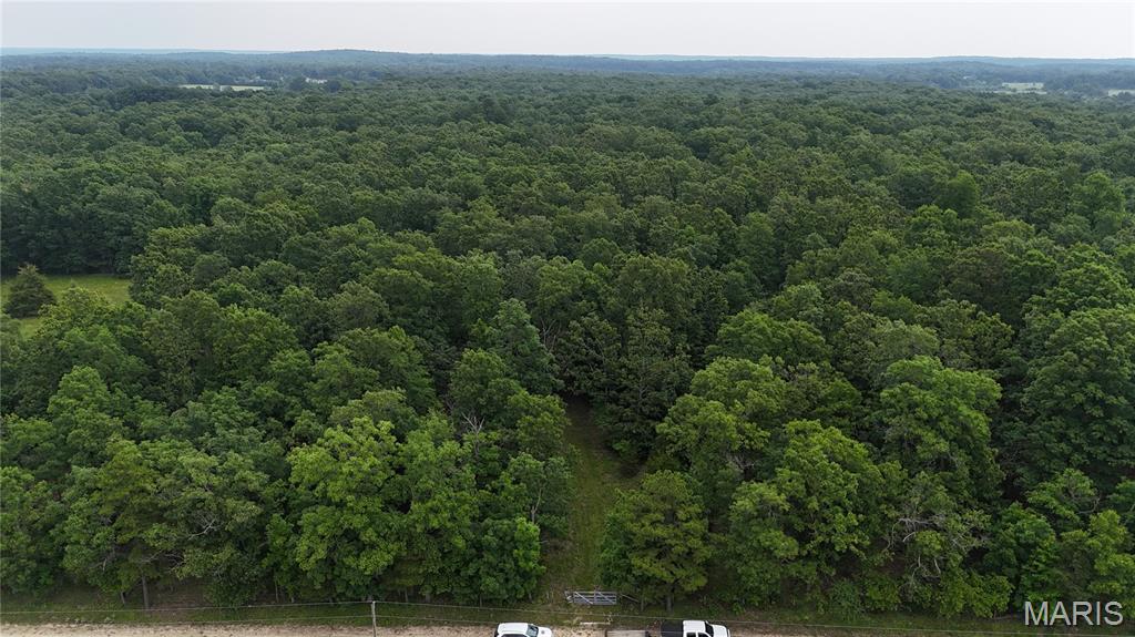 Photo 19 - Land for sale – 0  County Road 5500   Salem, MO