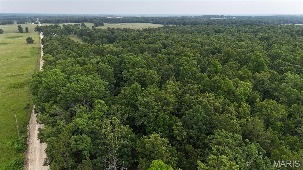 Photo 21 - Land for sale – 0  County Road 5500   Salem, MO
