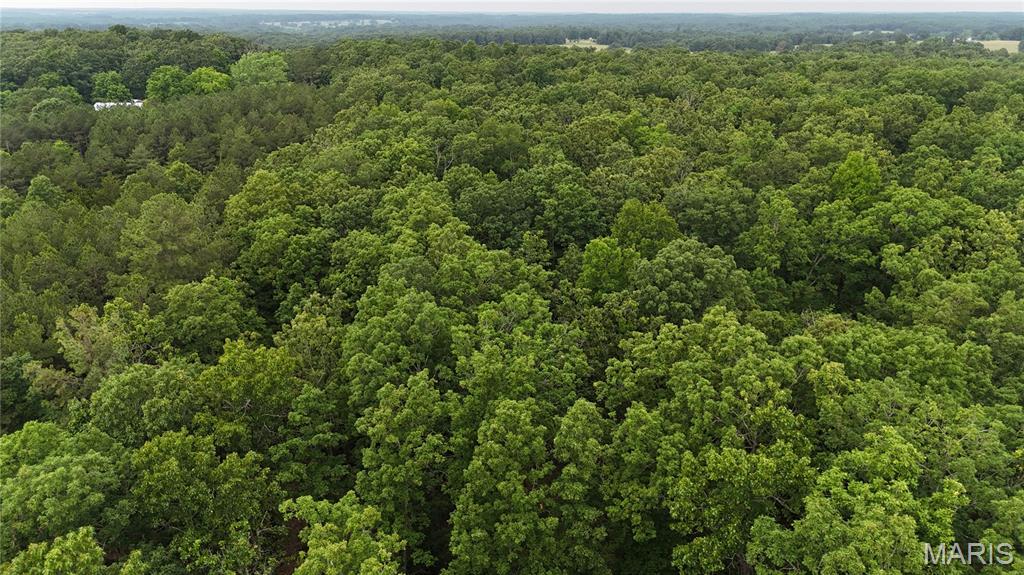 Photo 28 - Land for sale – 0  County Road 5500   Salem, MO