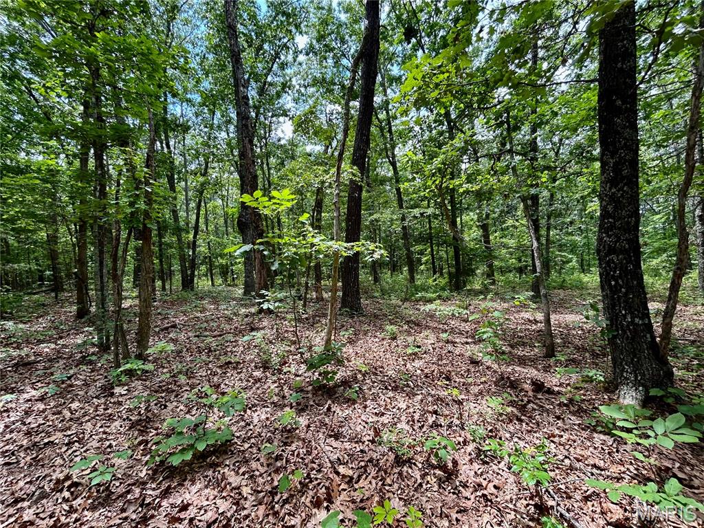 Photo 17 - Land for sale – 0  County Road 5500   Salem, MO