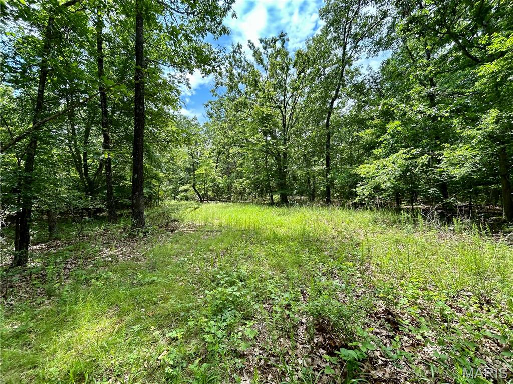 Photo 10 - Land for sale – 0  County Road 5500   Salem, MO