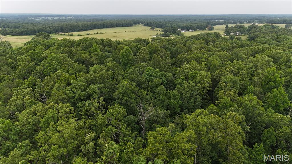 Photo 22 - Land for sale – 0  County Road 5500   Salem, MO