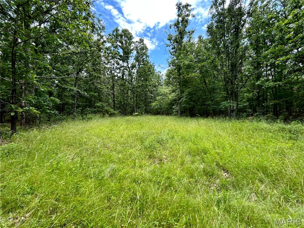 Photo 16 - Land for sale – 0  County Road 5500   Salem, MO