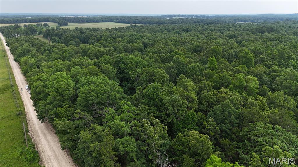 Photo 20 - Land for sale – 0  County Road 5500   Salem, MO