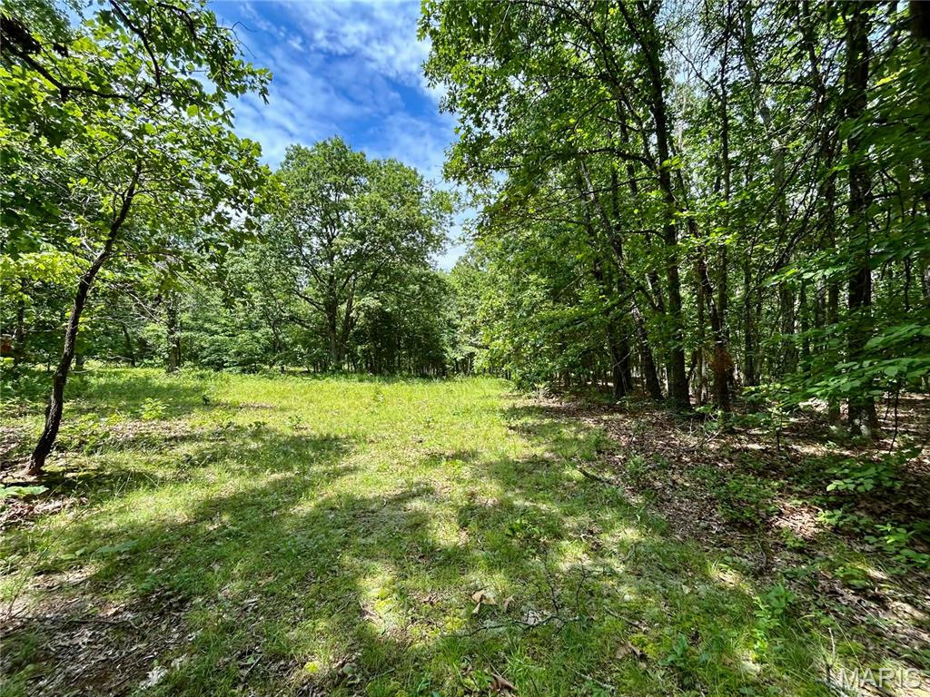 Land for sale – 0  County Road 5500   Salem, MO