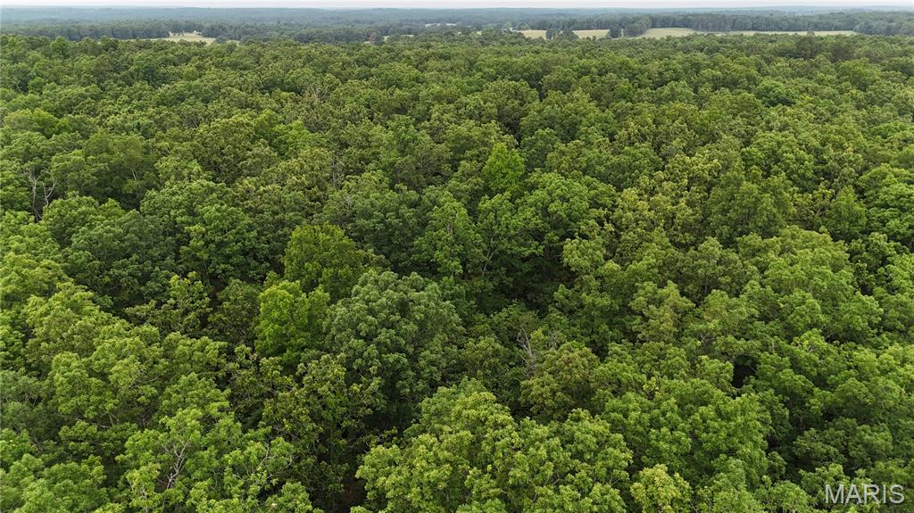 Photo 29 - Land for sale – 0  County Road 5500   Salem, MO