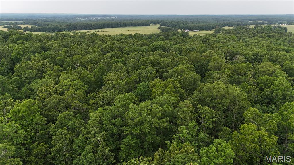 Photo 23 - Land for sale – 0  County Road 5500   Salem, MO