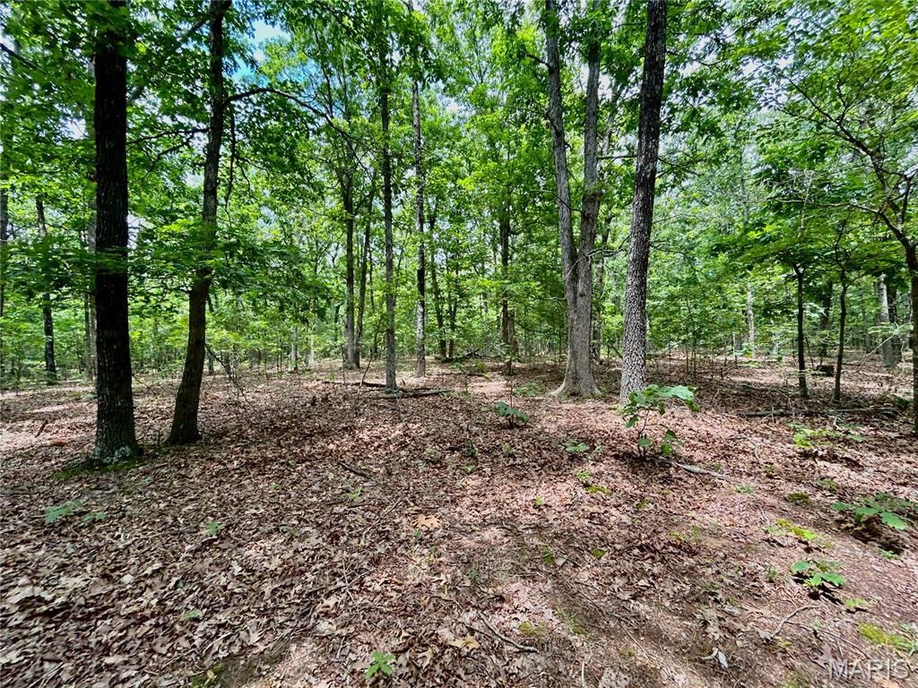 Photo 12 - Land for sale – 0  County Road 5500   Salem, MO