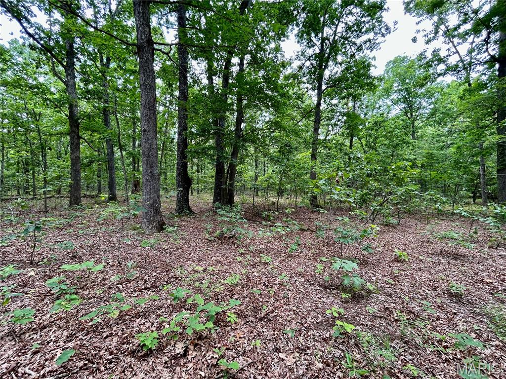 Photo 9 - Land for sale – 0  County Road 5500   Salem, MO