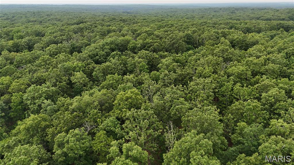 Photo 27 - Land for sale – 0  County Road 5500   Salem, MO