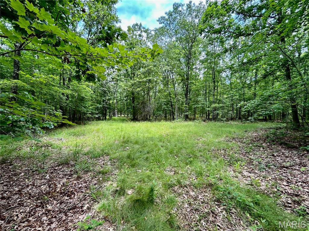 Photo 13 - Land for sale – 0  County Road 5500   Salem, MO