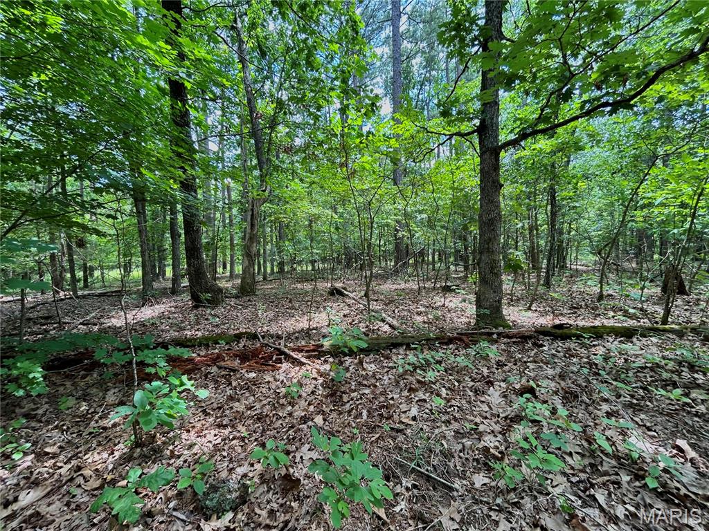 Photo 11 - Land for sale – 0  County Road 5500   Salem, MO