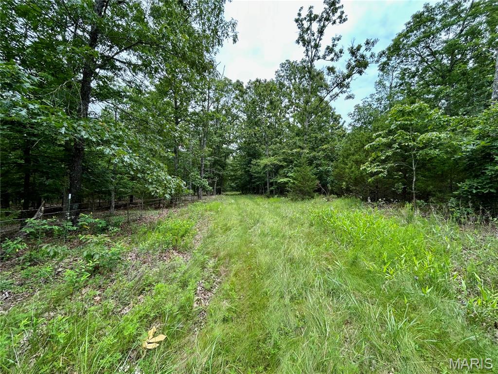 Photo 2 - Land for sale – 0  County Road 5500   Salem, MO