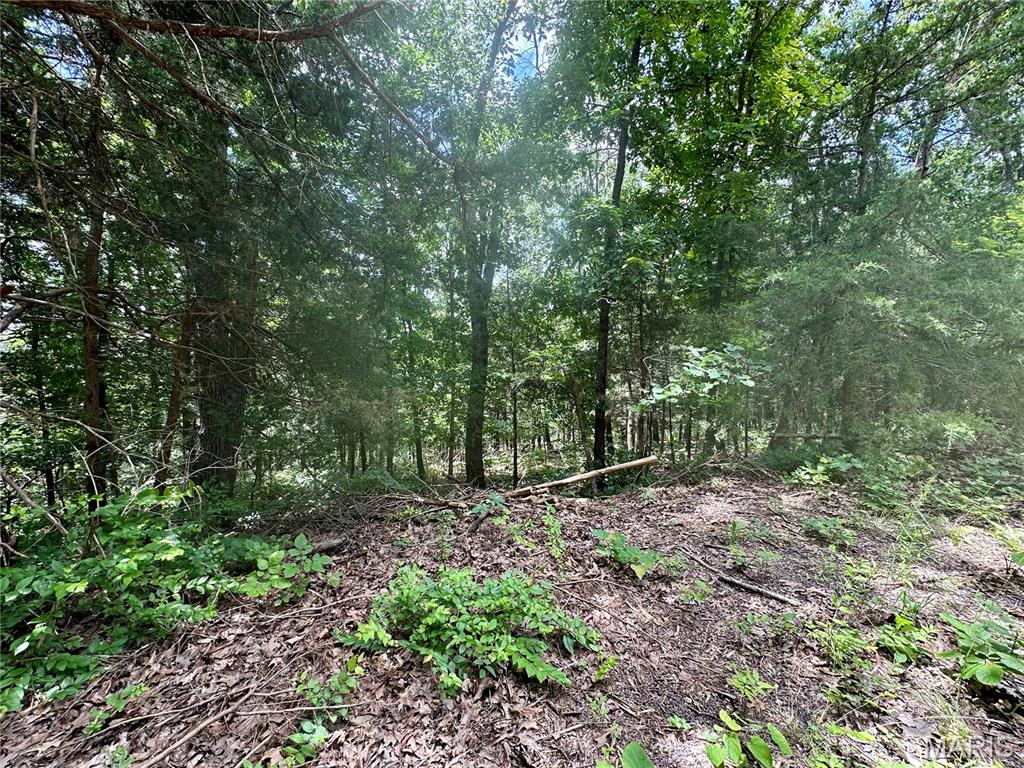 Photo 3 - Land for sale – TBD  Bluebird   Rolla, MO